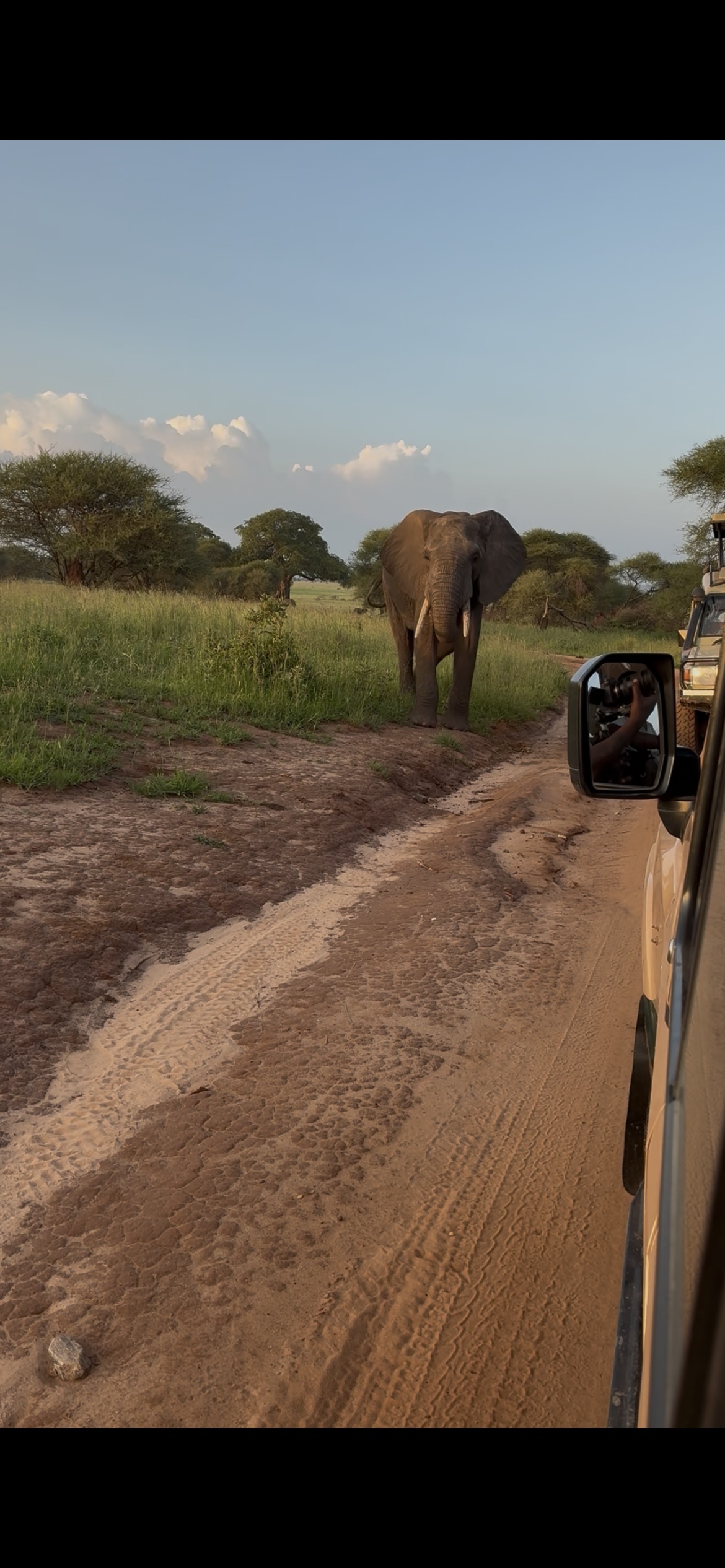 Avond in Tarangire lodge